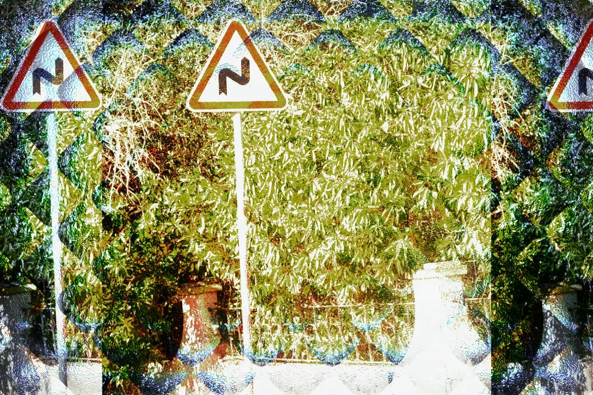 Alternative Business Models for Creatives (Other Than Patreon)